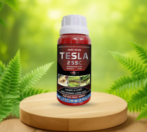 Thuốc trừ sâu rầy